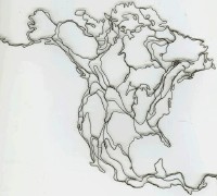Elizabeth Berrien wire map of North America
