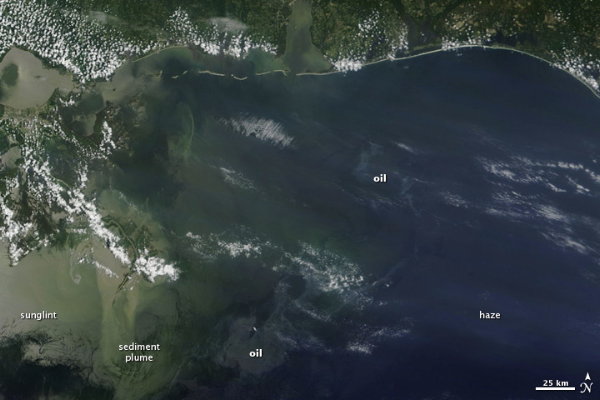 The Map Room - More on the Gulf of Mexico Oil Spill